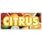 Signmission CITRUS BANNER SIGN florida orange grapefruit lemon juice fruit produce B-120 Citrus - alternate 1